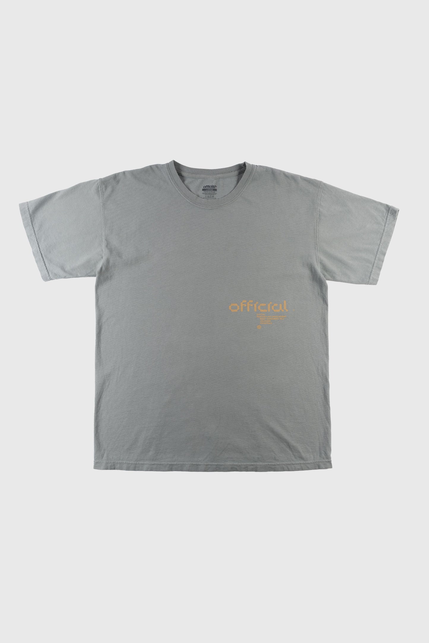 Unlocked Potentials T-Shirt (Granite Gray)